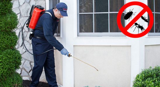 Çorum Böcek İlaçlama böcek ilaçlama ve haşere kontrolü — ilaclama-tr.com
